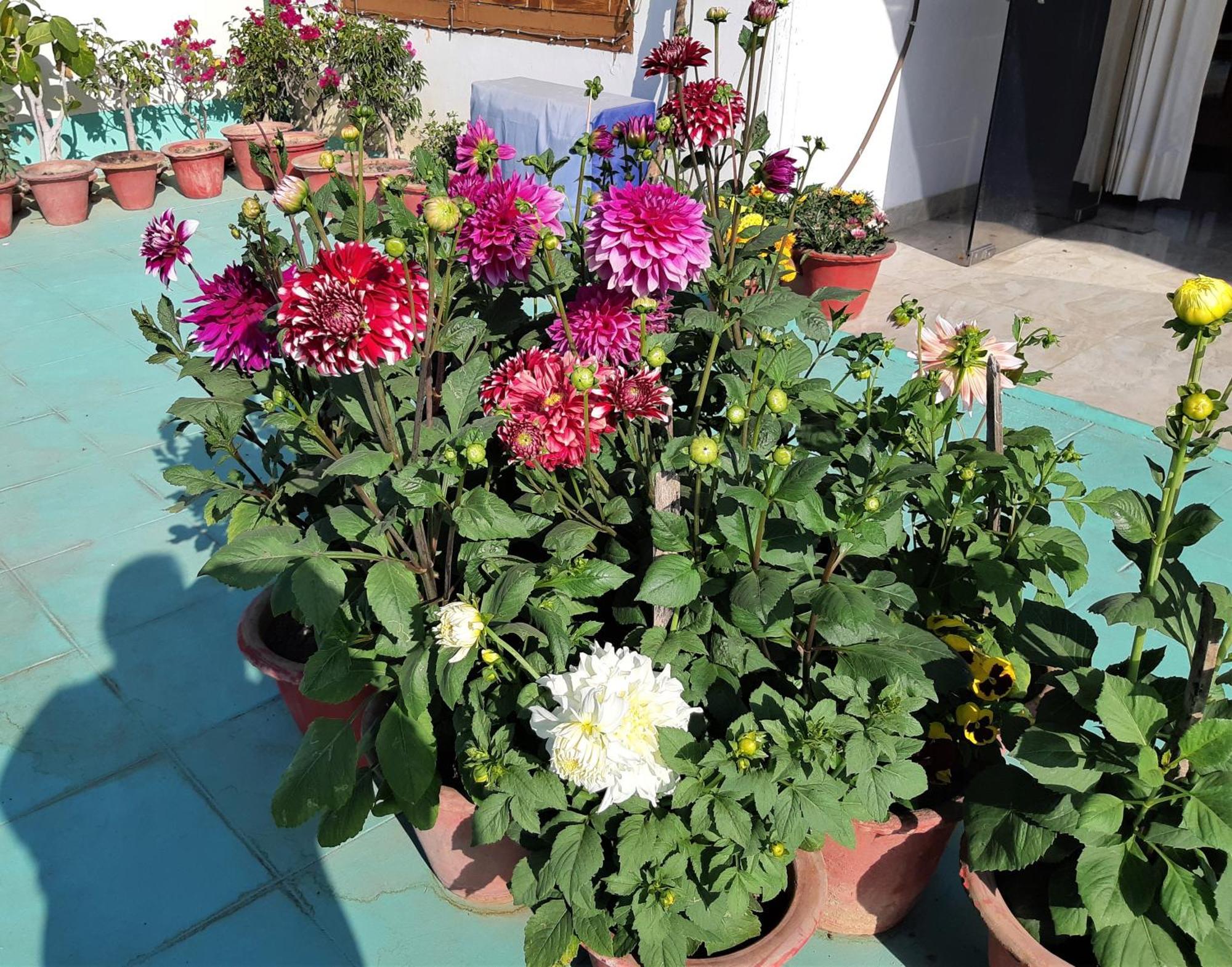 Fully Furnished Ish, Atithya Homestay With Various Amenities And Free Services In Lucknow, India Ngoại thất bức ảnh