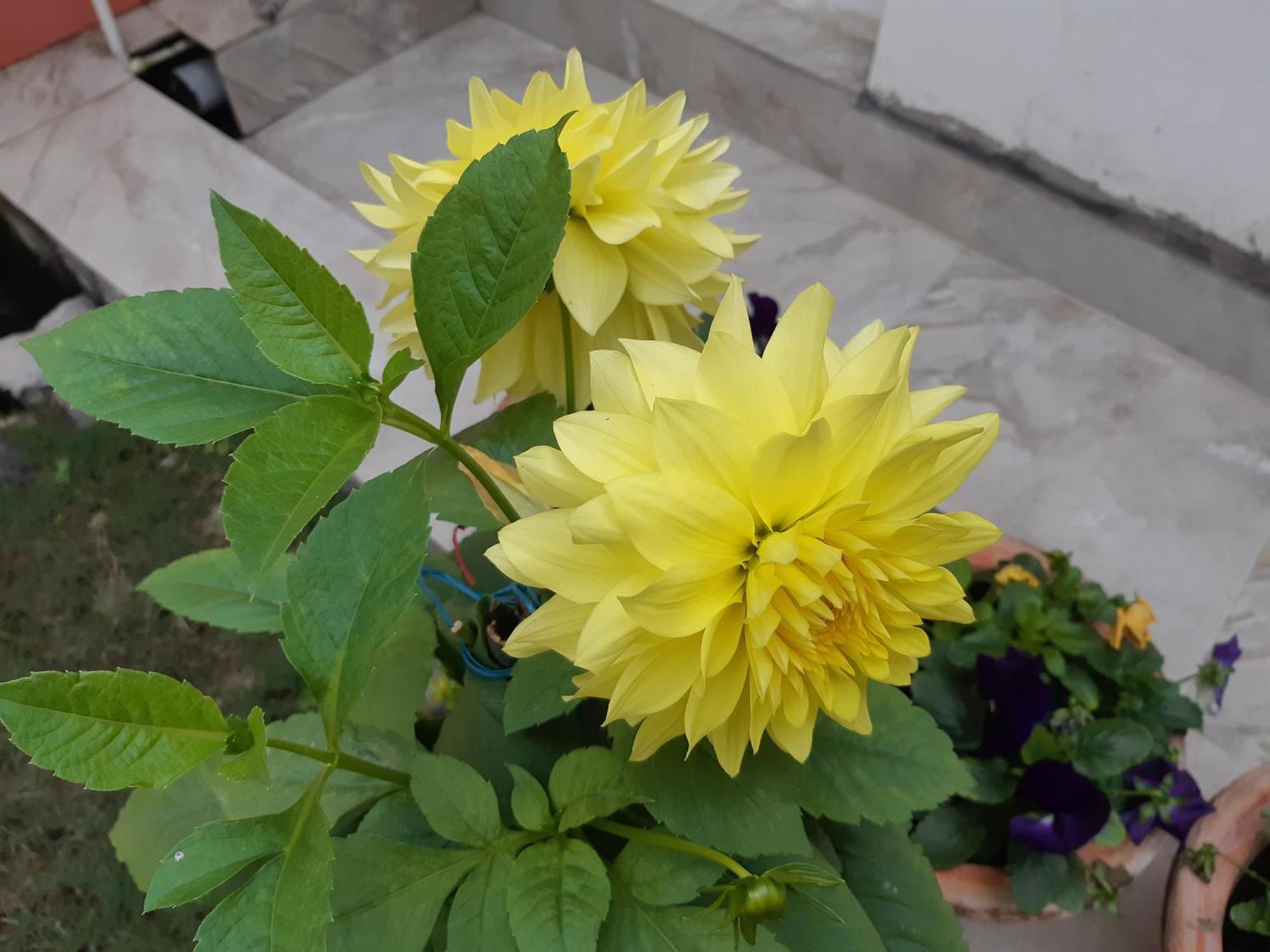 Fully Furnished Ish, Atithya Homestay With Various Amenities And Free Services In Lucknow, India Ngoại thất bức ảnh
